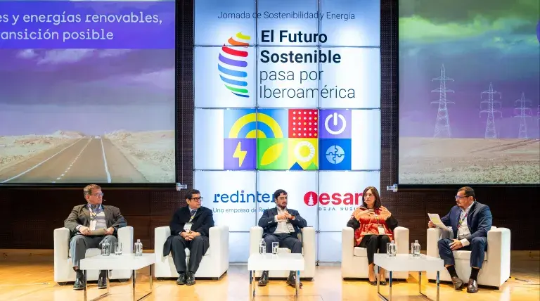 Panel: Redes y energías renovables, la transición posible