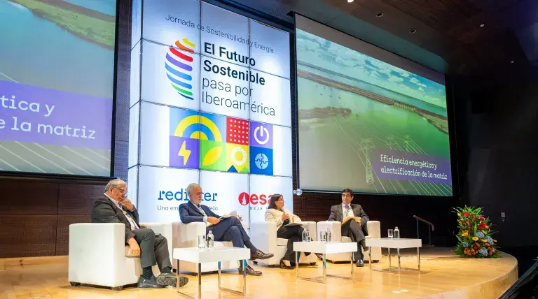 Panel: Eficiencia energética y electrificación de la matriz