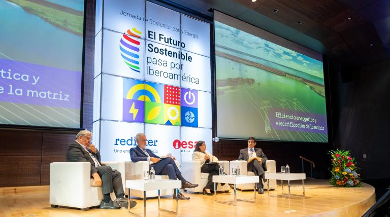 Panel: Eficiencia energética y electrificación de la matriz