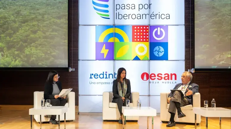 Panel: Energía y desarrollo en Latinoamérica