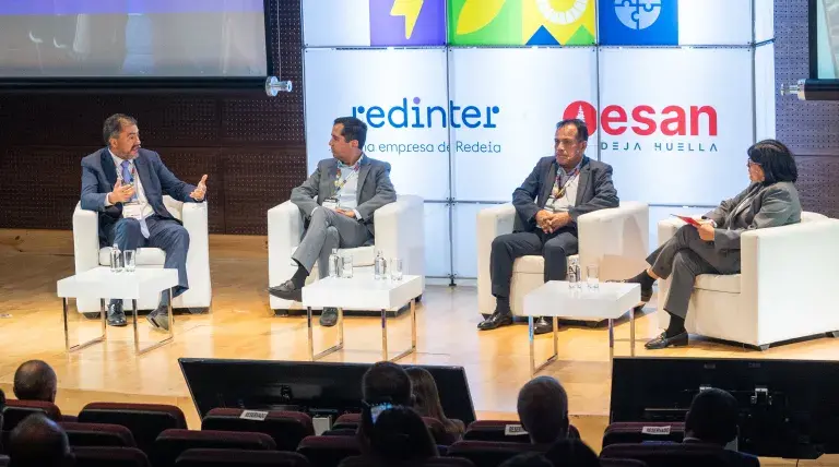 Panel: ODS, pueblos originarios e innovación social